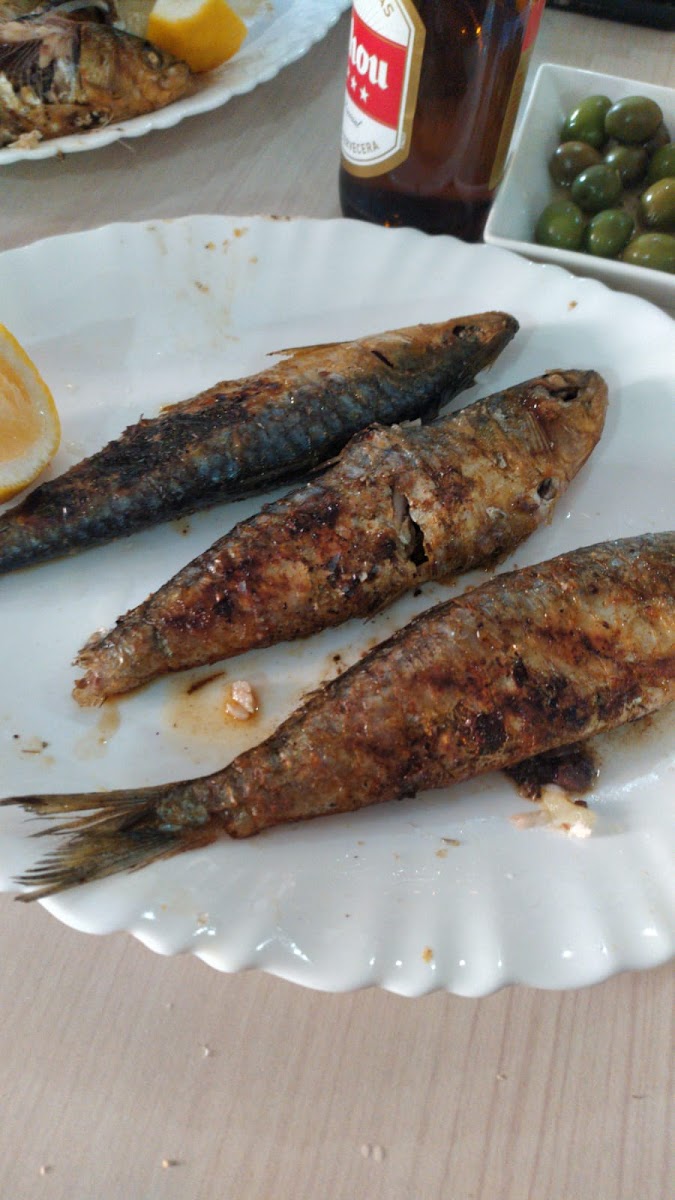 Café El Recuerdo - 4