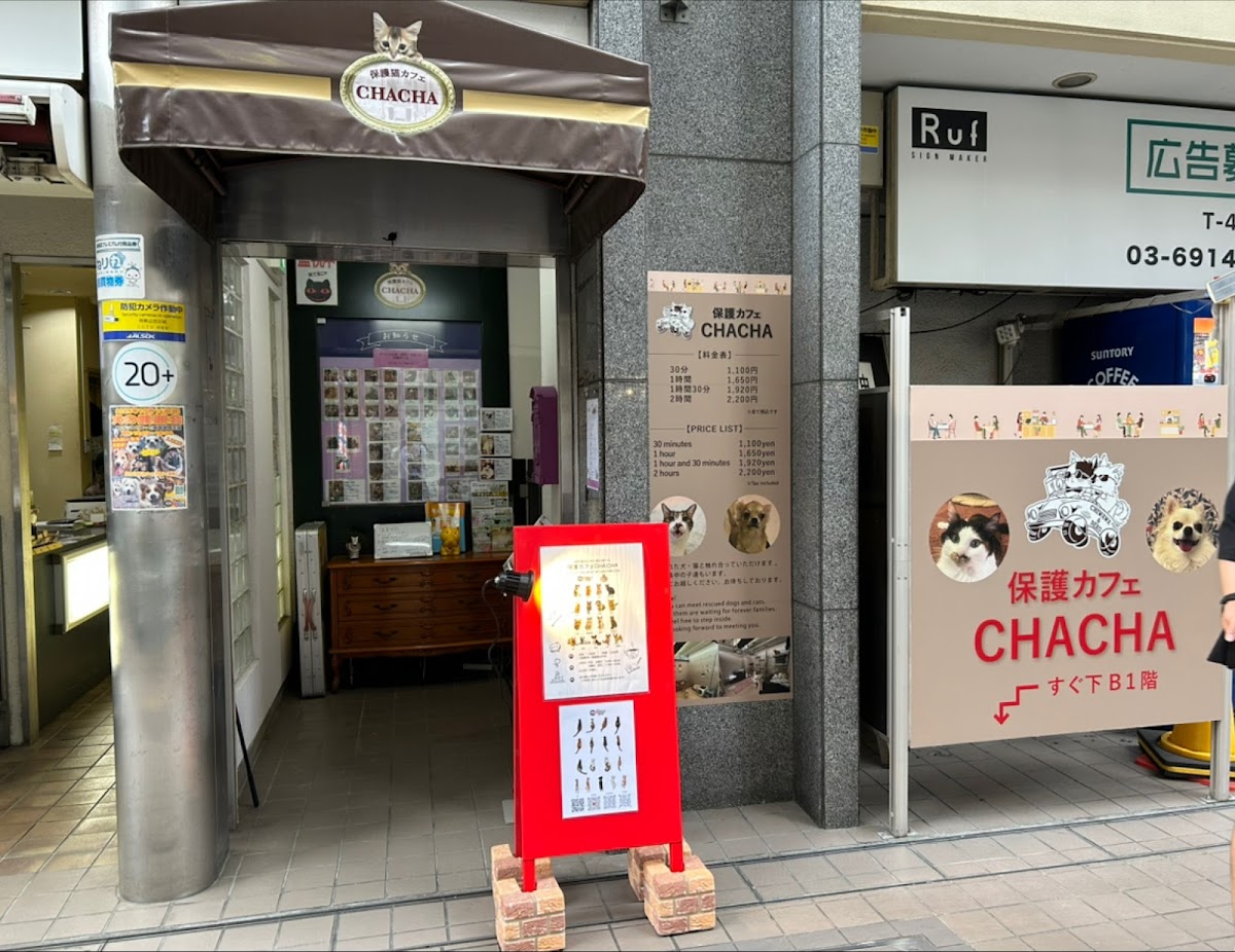 保護カフェCHACHA(2023.9.30リニューアルOpen)