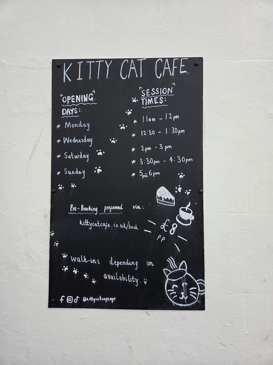 Kitty Cat Cafe - 3