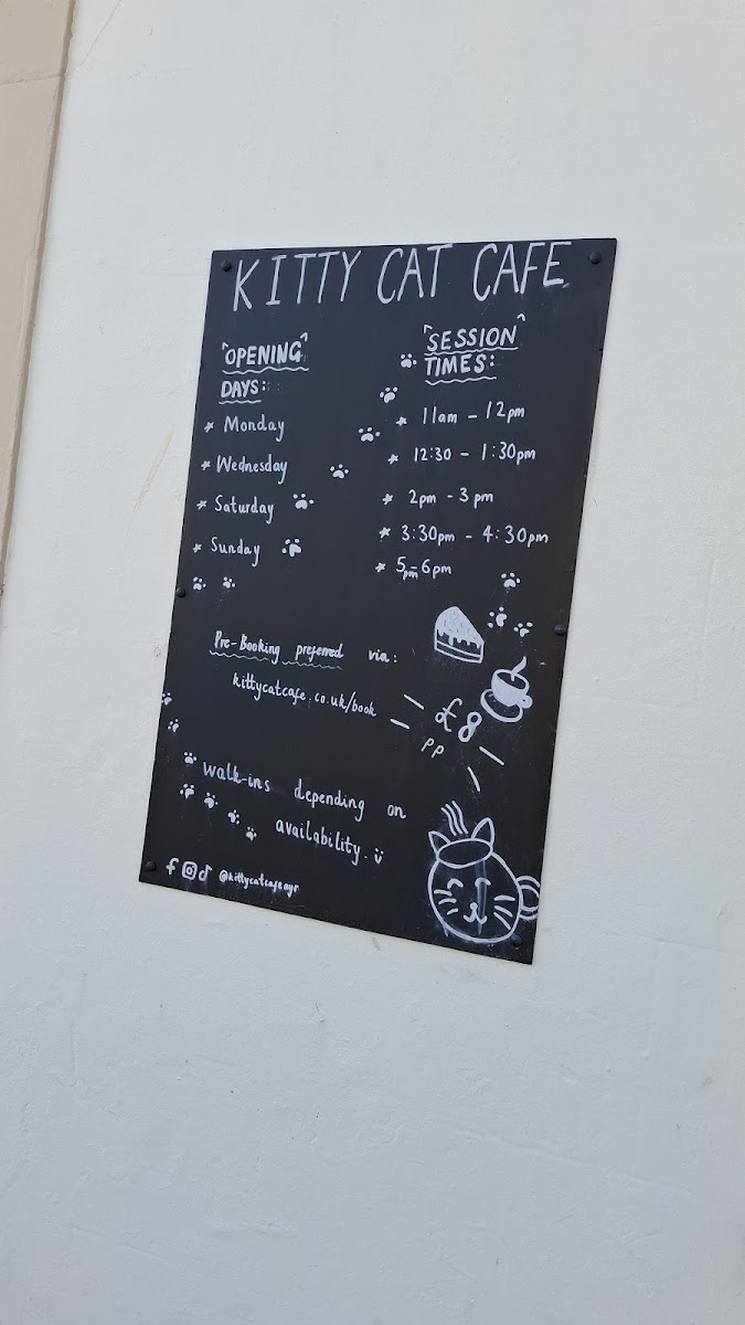 Kitty Cat Cafe - 4