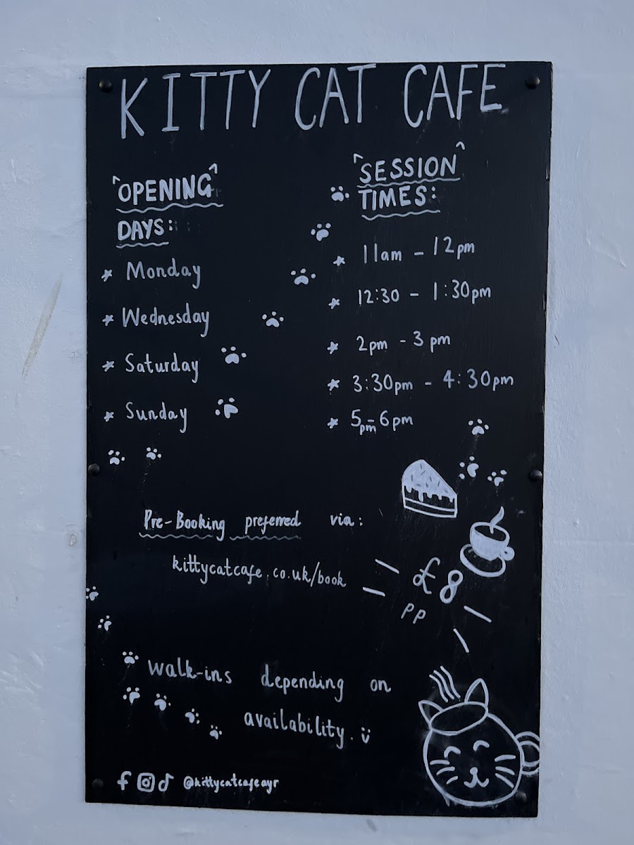 Kitty Cat Cafe - 3