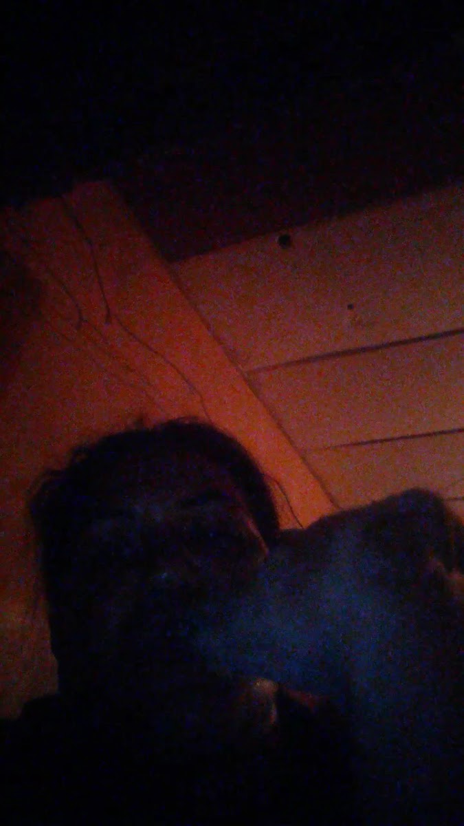 Tequeyoyos Doña Eufemia