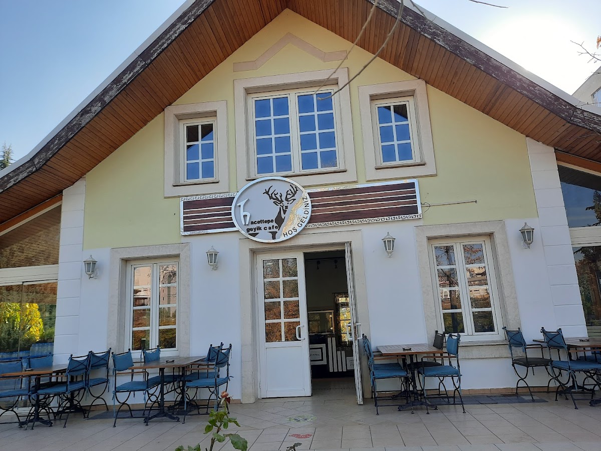 Geyik Kafe - 4