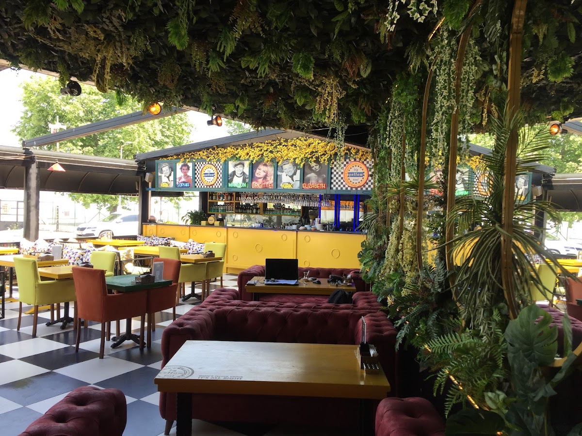 Big Yellow Taxi Çınarcık