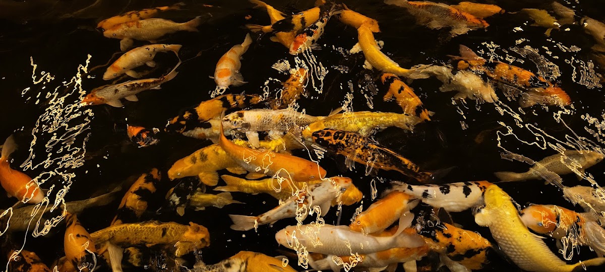 Engineer's Cafe (An engineer's Innovation) - 3