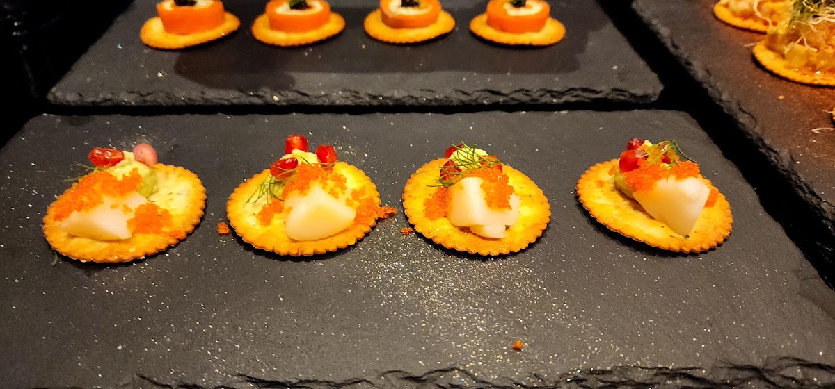 B CAFE by JVL Concept - 10