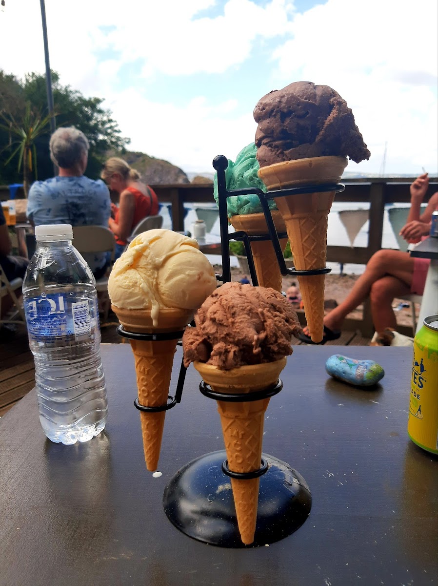 Fishcombe Cove Cafe/Bar - 5