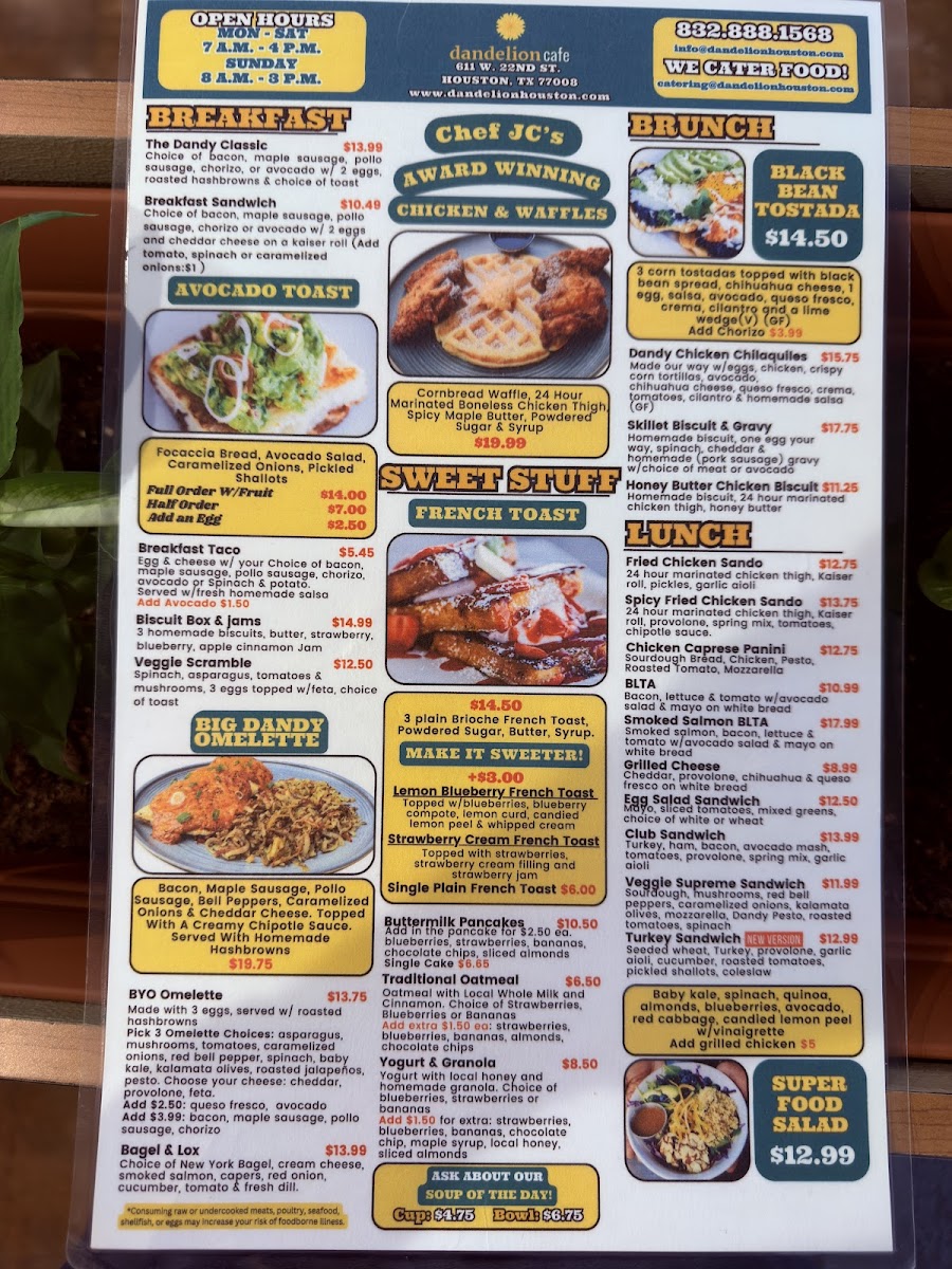 Dandelion Cafe Heights - 1