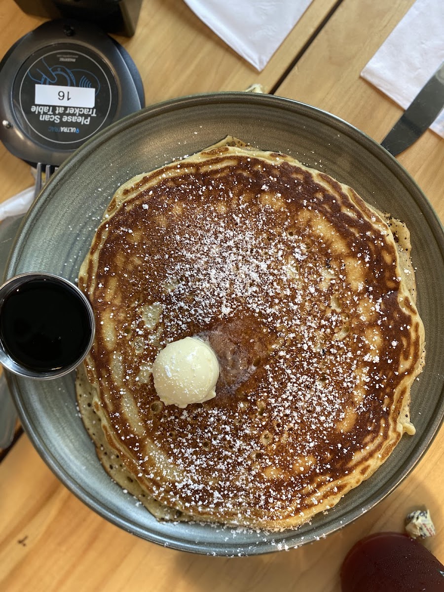 Dandelion Cafe Heights - 6