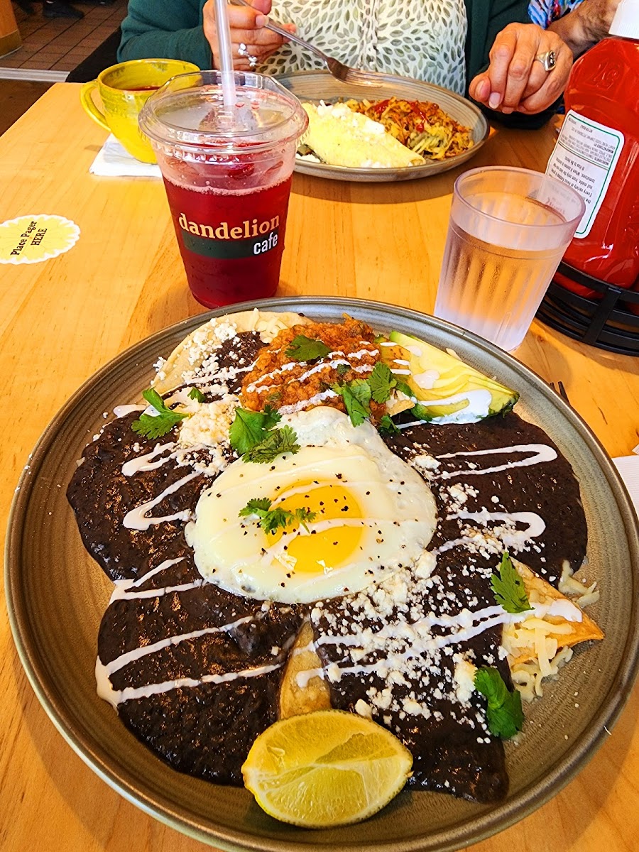 Dandelion Cafe Heights - 8