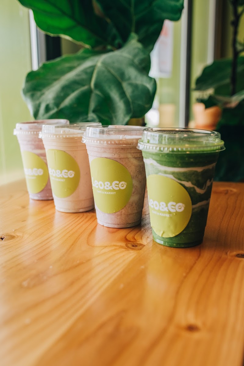 Leo & Company - 5