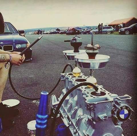 Coffee Oil and Thyme - 3