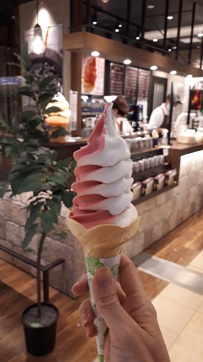 Toa Coffee Shop New Chitose Airport - 10