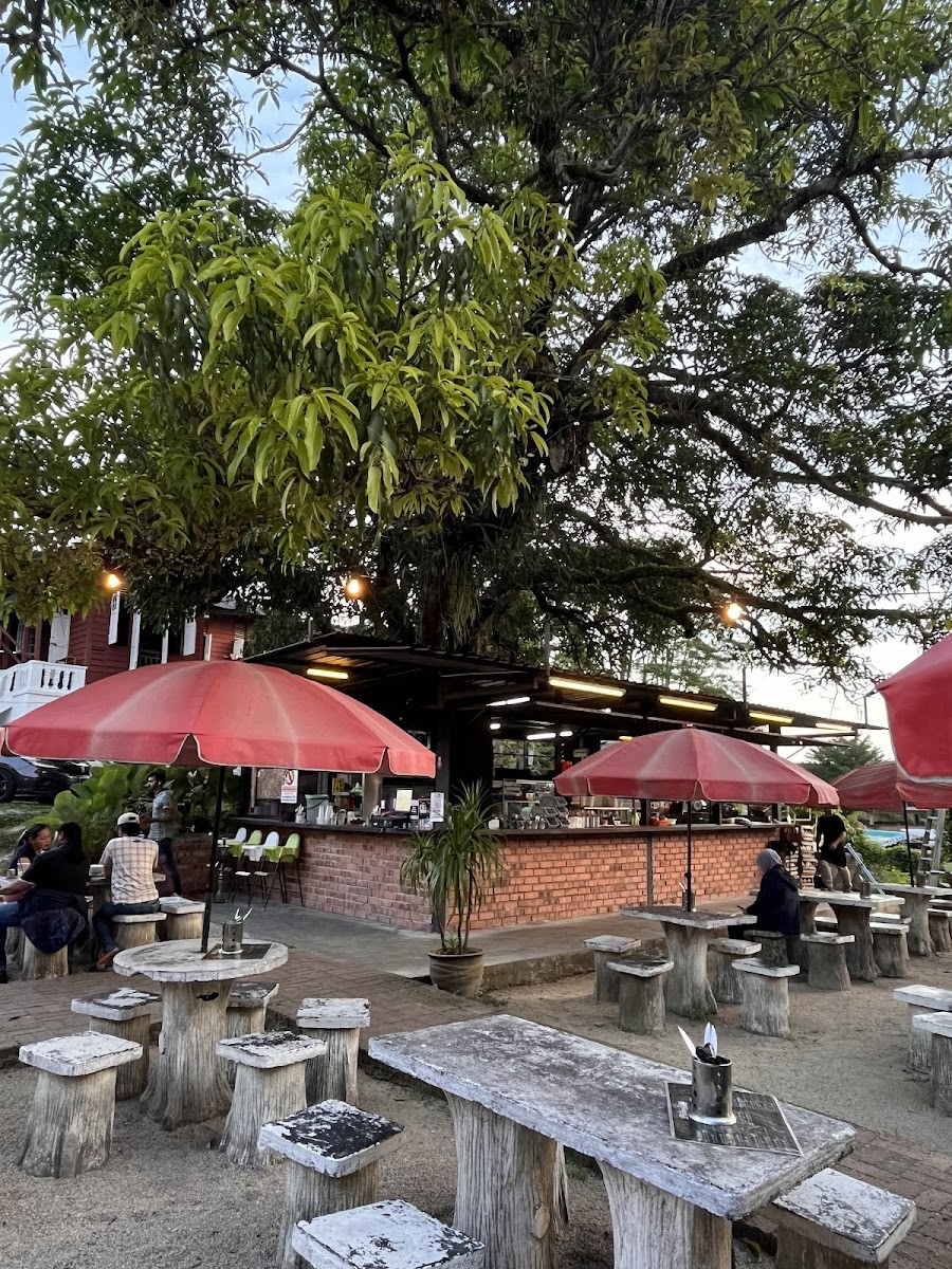 Pelam Tree Cafe - 4