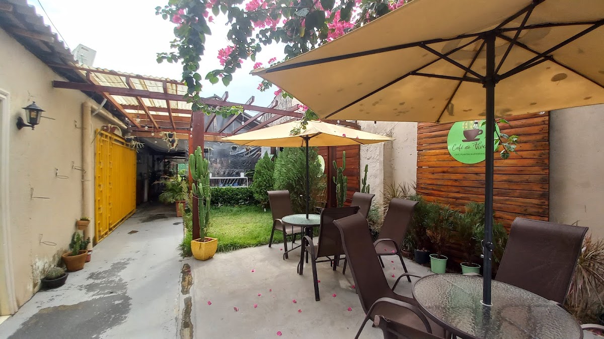 Café No Viveiro