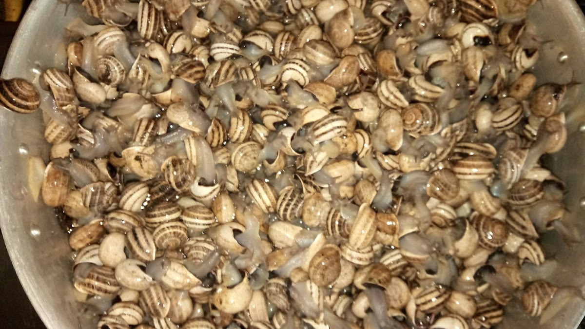 Time4drink Café-bar - 8