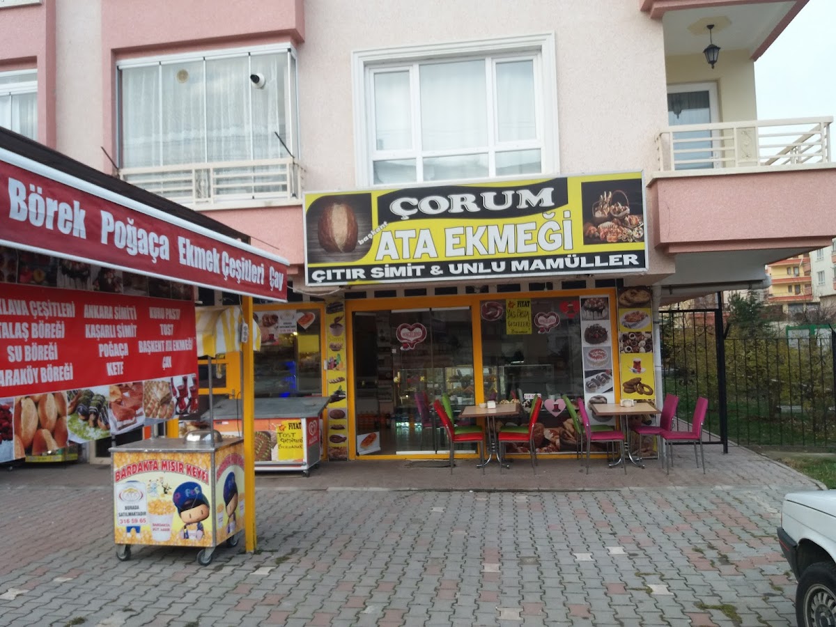 Zeugma Pasta cafe bistro - 4