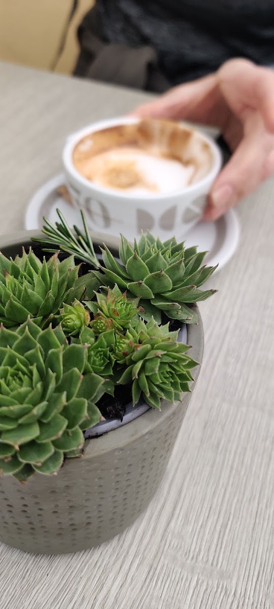 Cafe Ristoro Arcosoli - 9