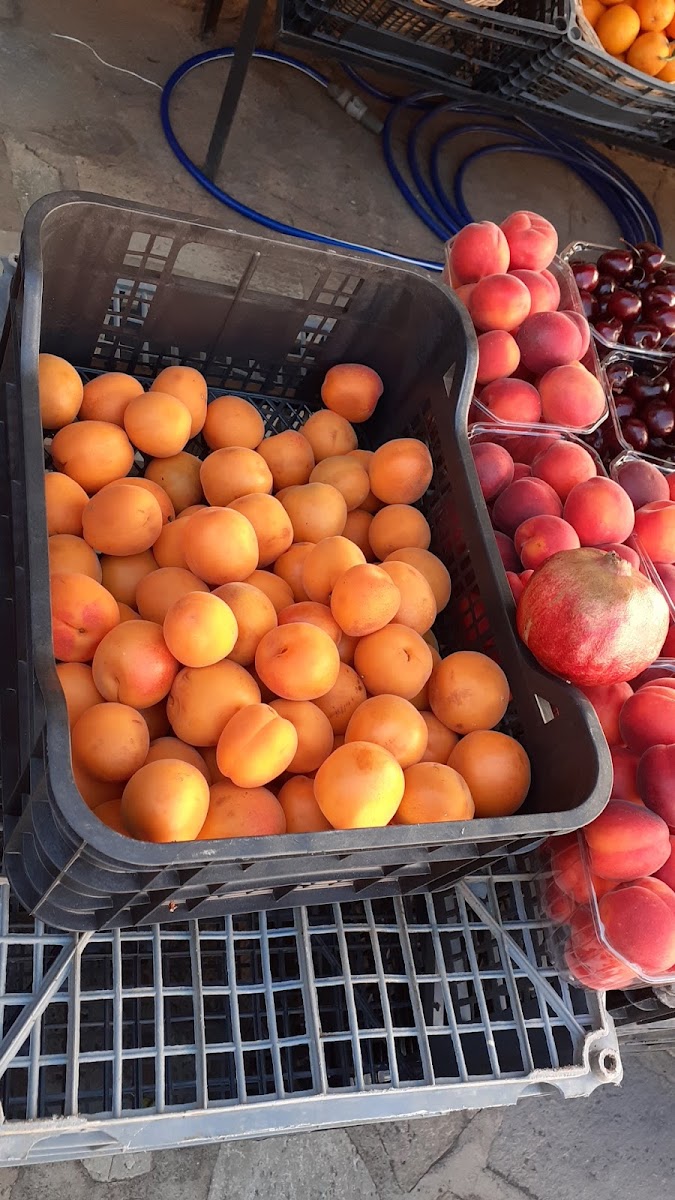 Agoni Coffee lovers {Αγκωνή} - 6