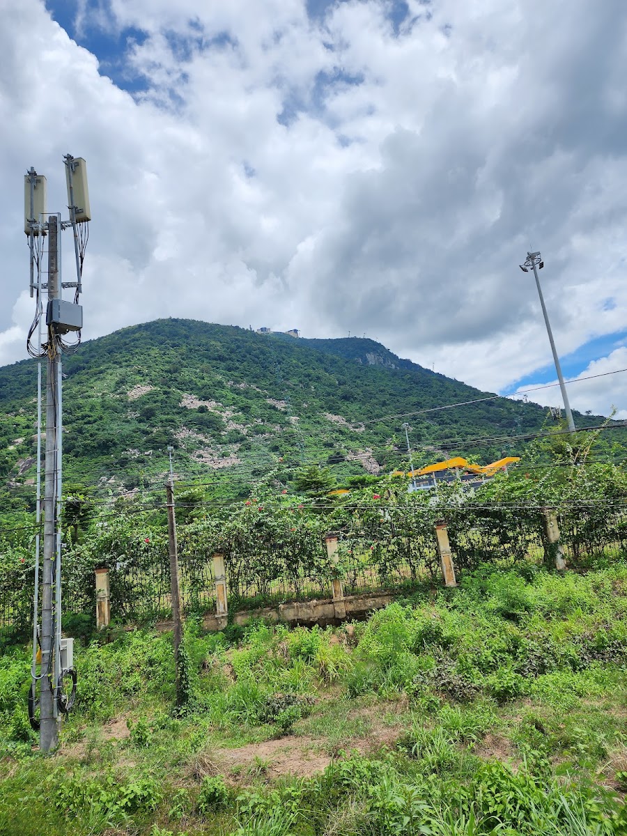 Cafe võng Vườn Tràm - 2