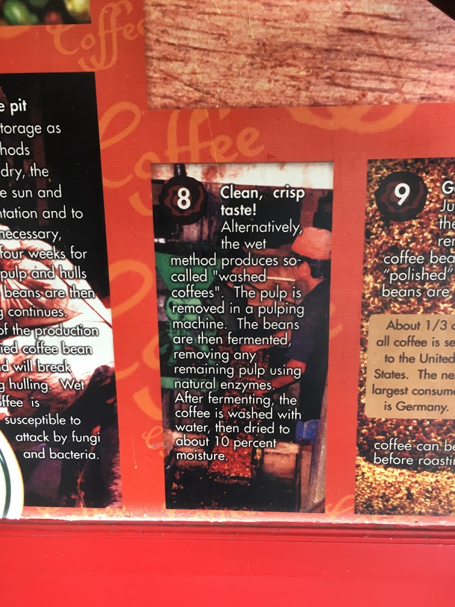 Kaldis Coffee Sarbet Branch | ካልዲስ ኮፊ ሳርቤት ቅርጫፍ - 3