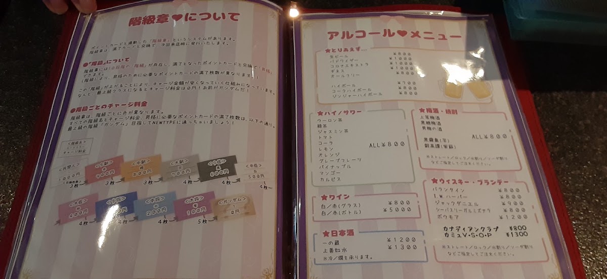 NEWTYPE - 8