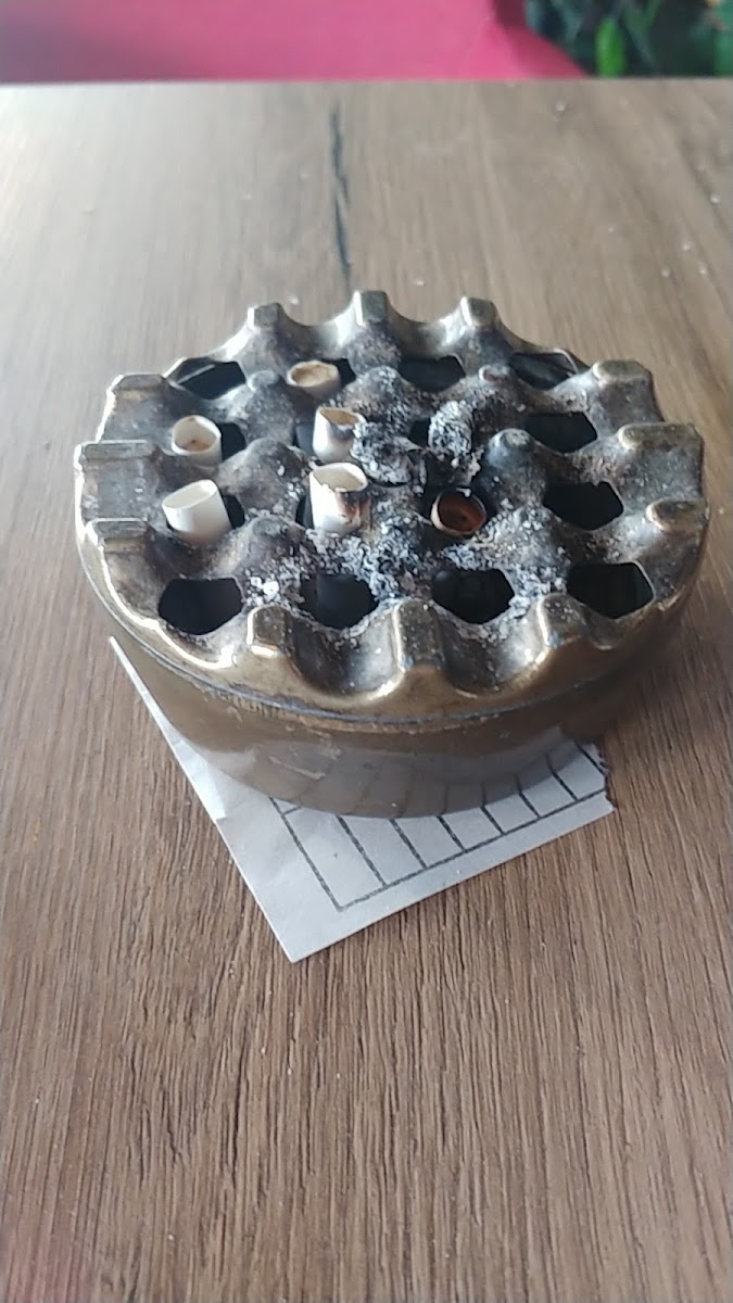 Õzüm Pasta Cafe - 6