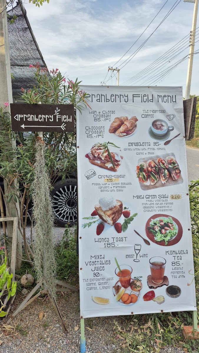 Pranberry Field - 5