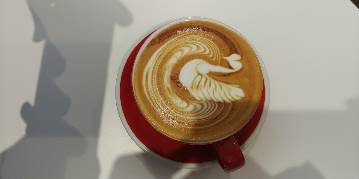 verse coffee-벌스커피 - 8