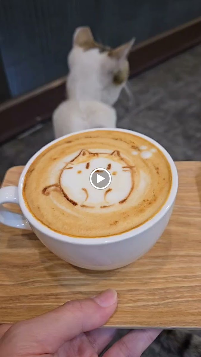 獨裁者咖啡 Dictator coffee - 2