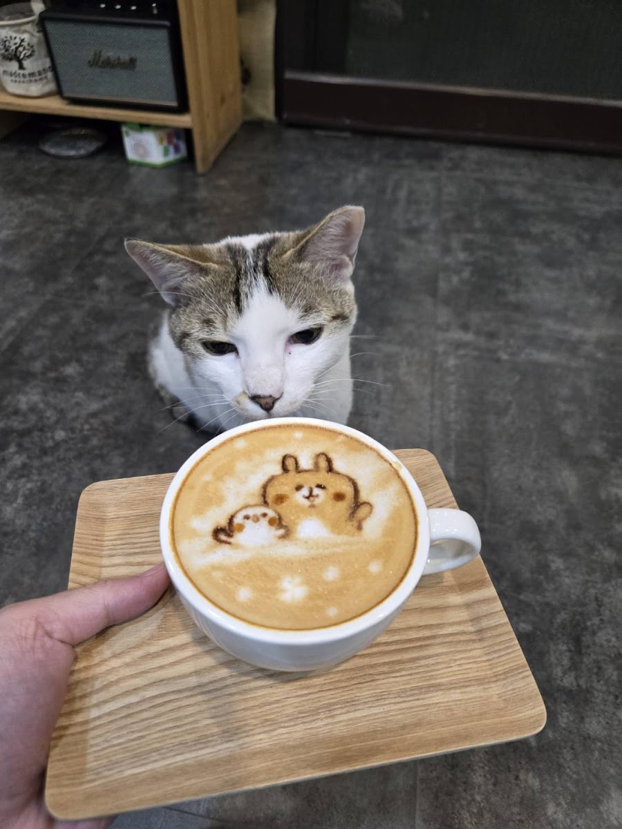 獨裁者咖啡 Dictator coffee - 3