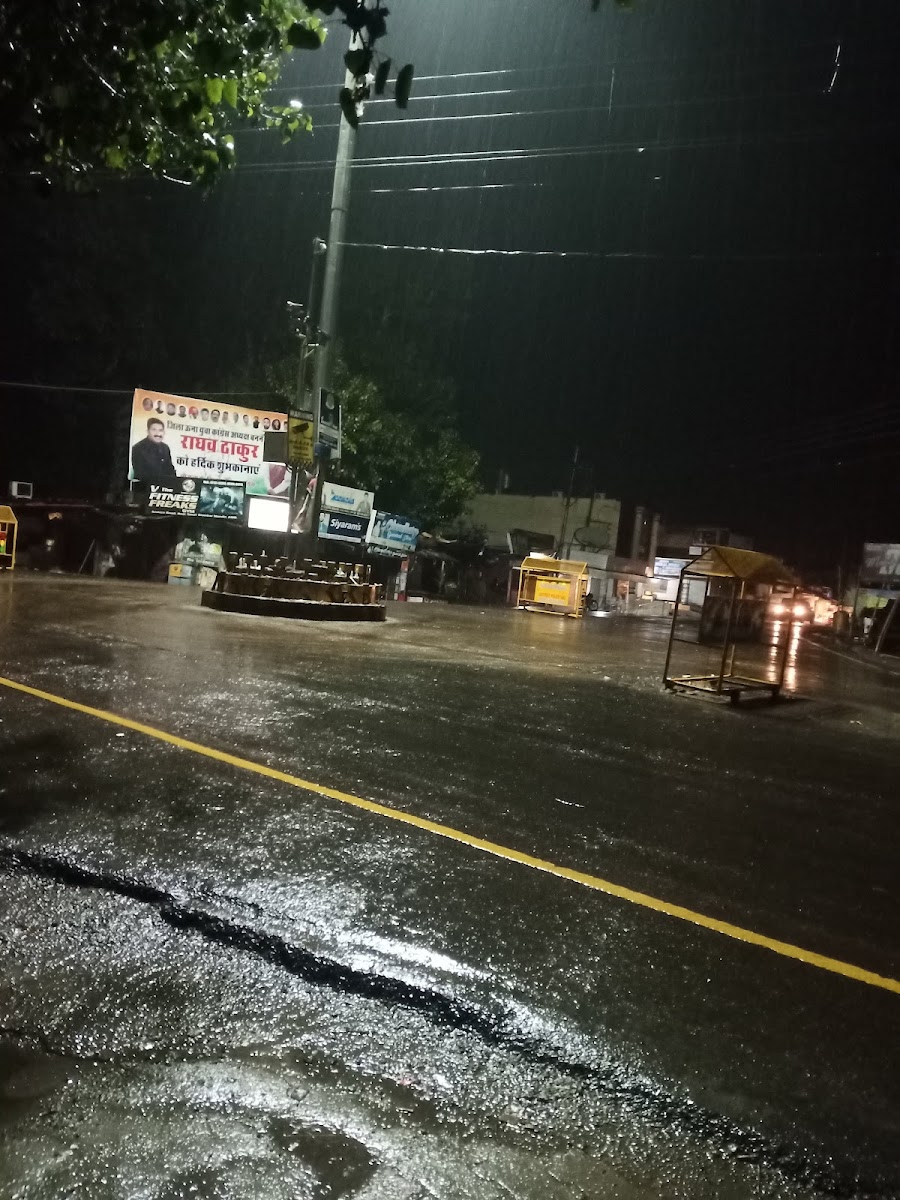 THE FIRANGI BITE - 3