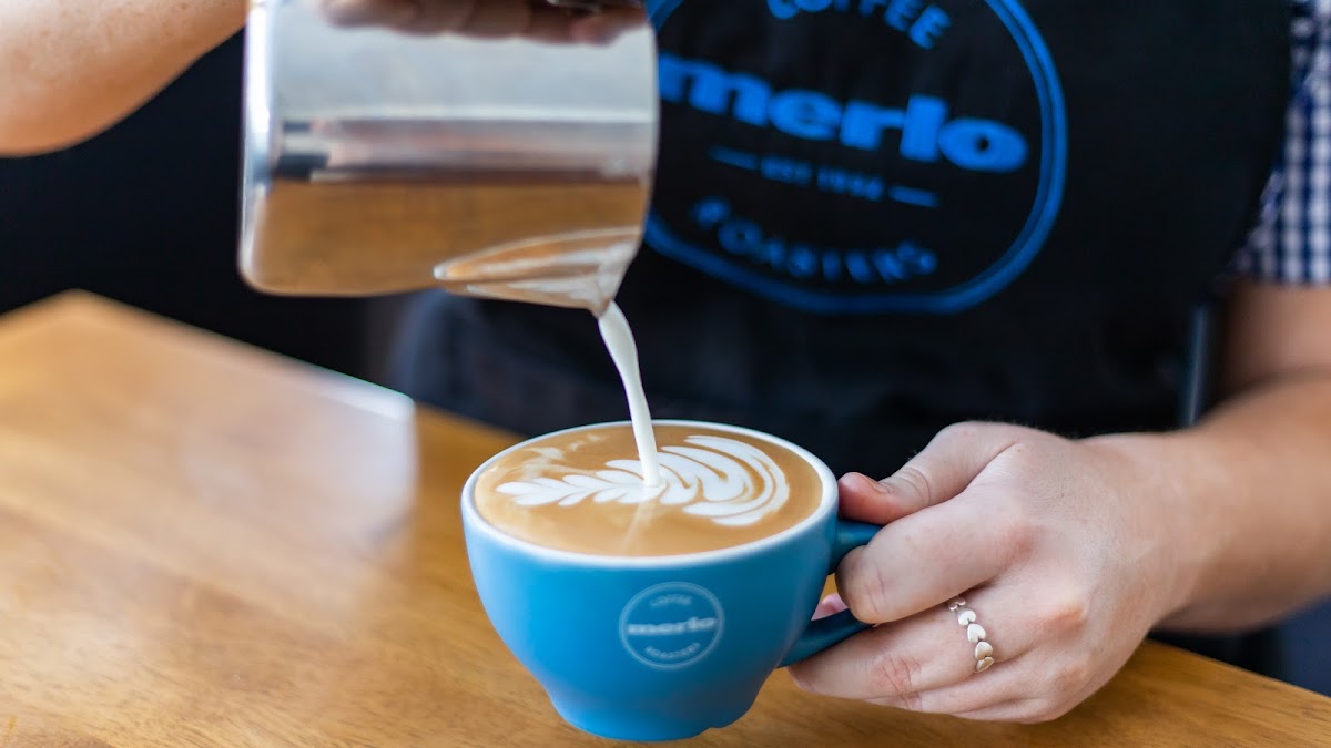 Merlo Coffee Cafe Brisbane City | QUT Gardens Point - 7