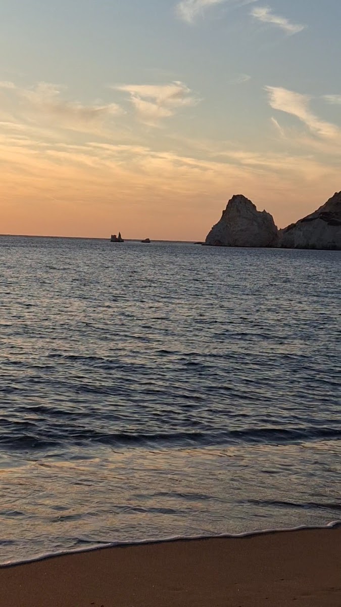 Mavrospilia beach bar - 2