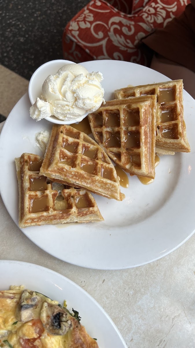 Shingle Inn Joondalup - 7