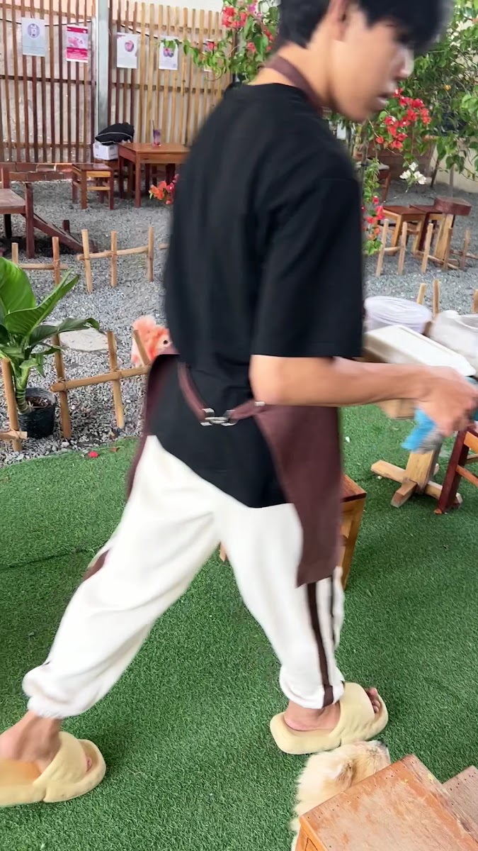 DG Pet Garden - Cafe Thú Cưng - 2