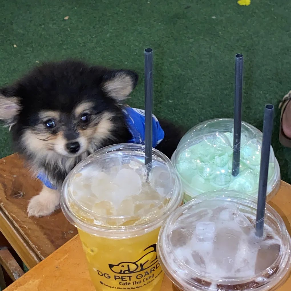DG Pet Garden - Cafe Thú Cưng - 6