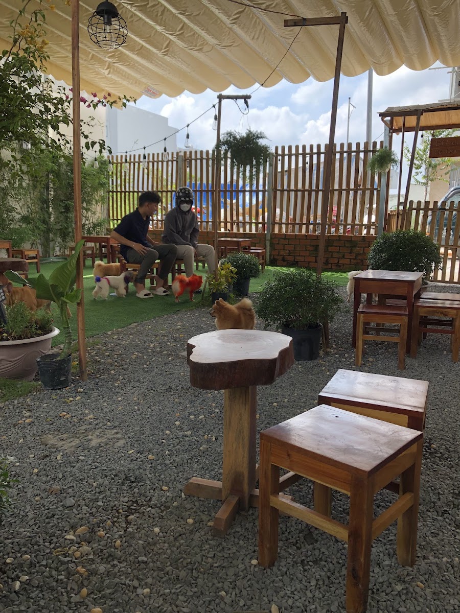 DG Pet Garden - Cafe Thú Cưng - 7
