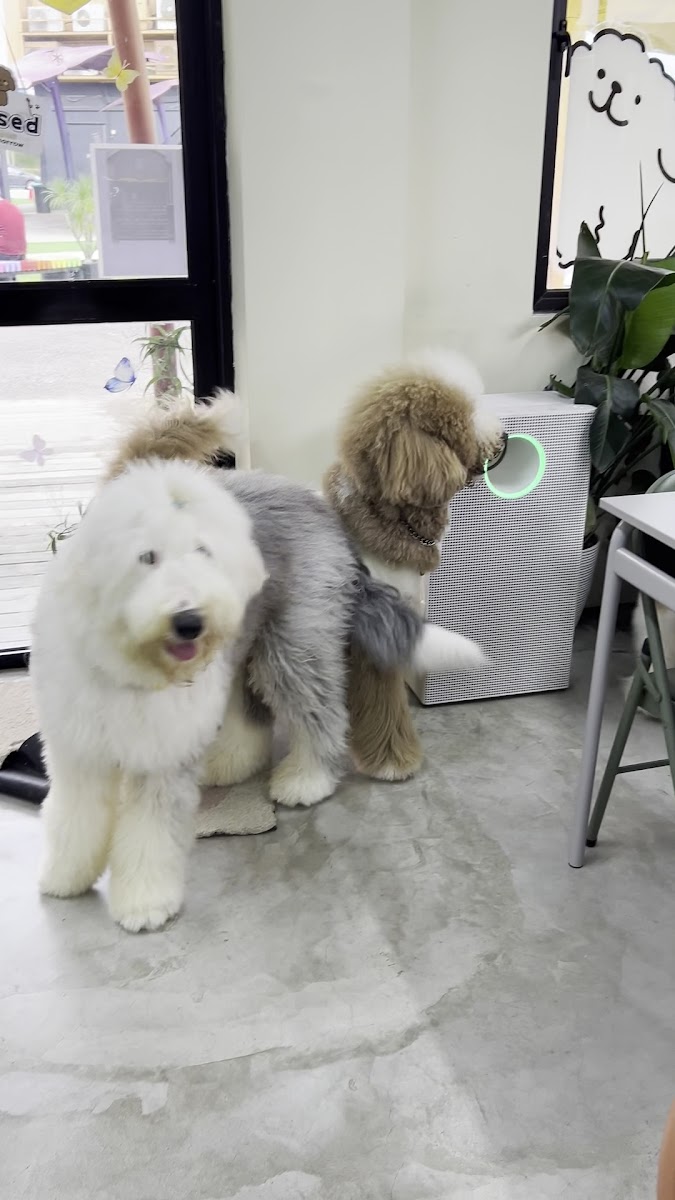 Walk In The Park Cafe - 2