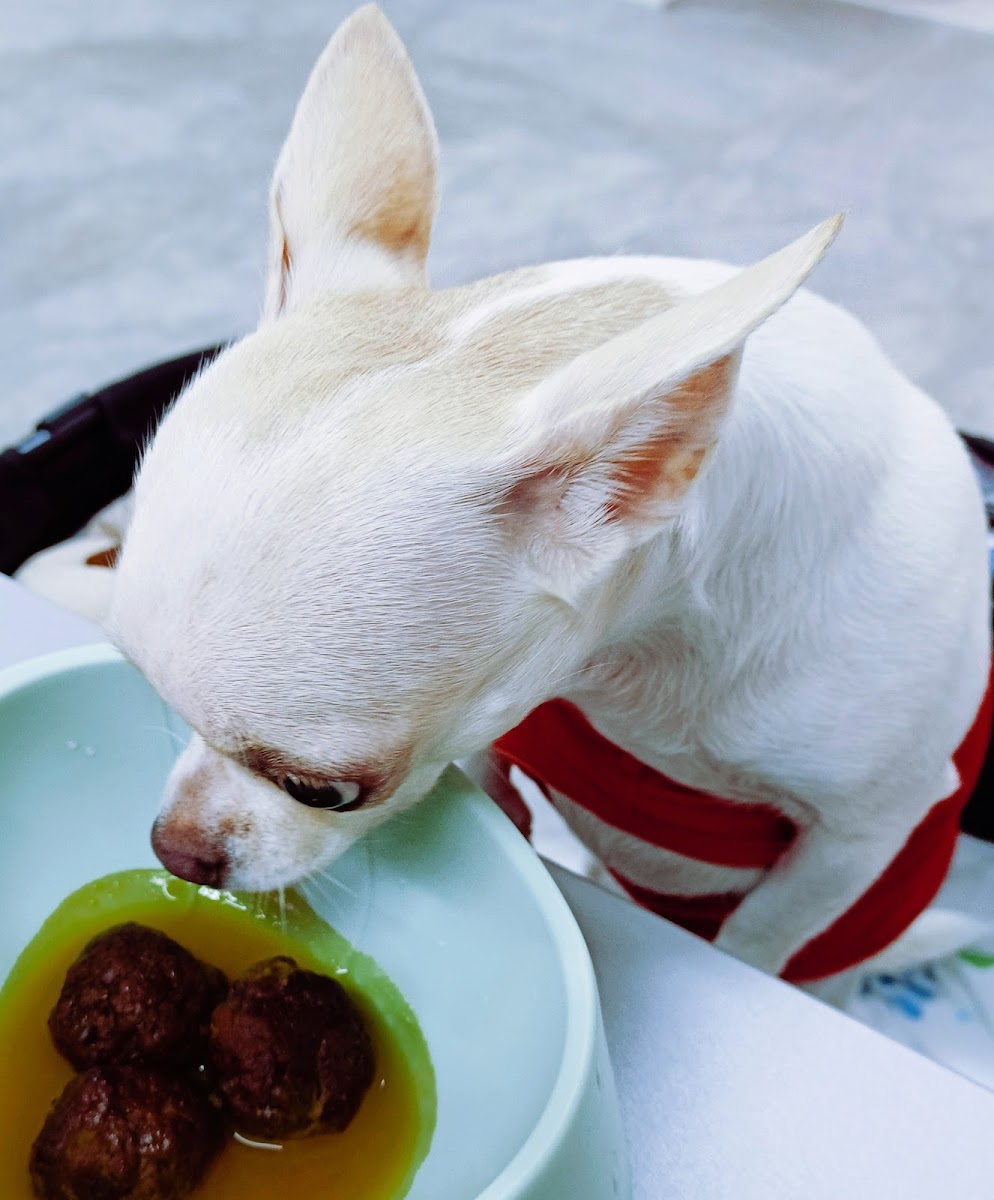 Walk In The Park Cafe - 5