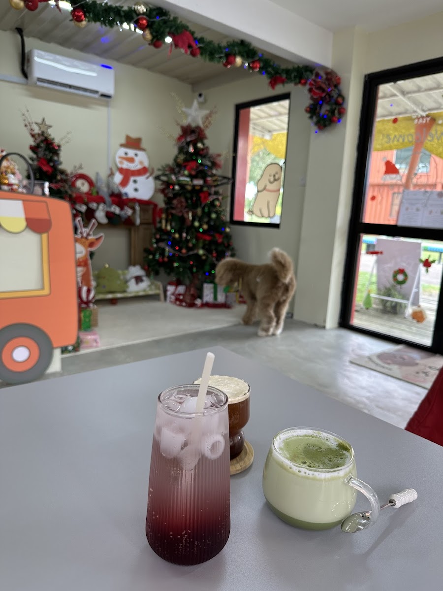 Walk In The Park Cafe - 7