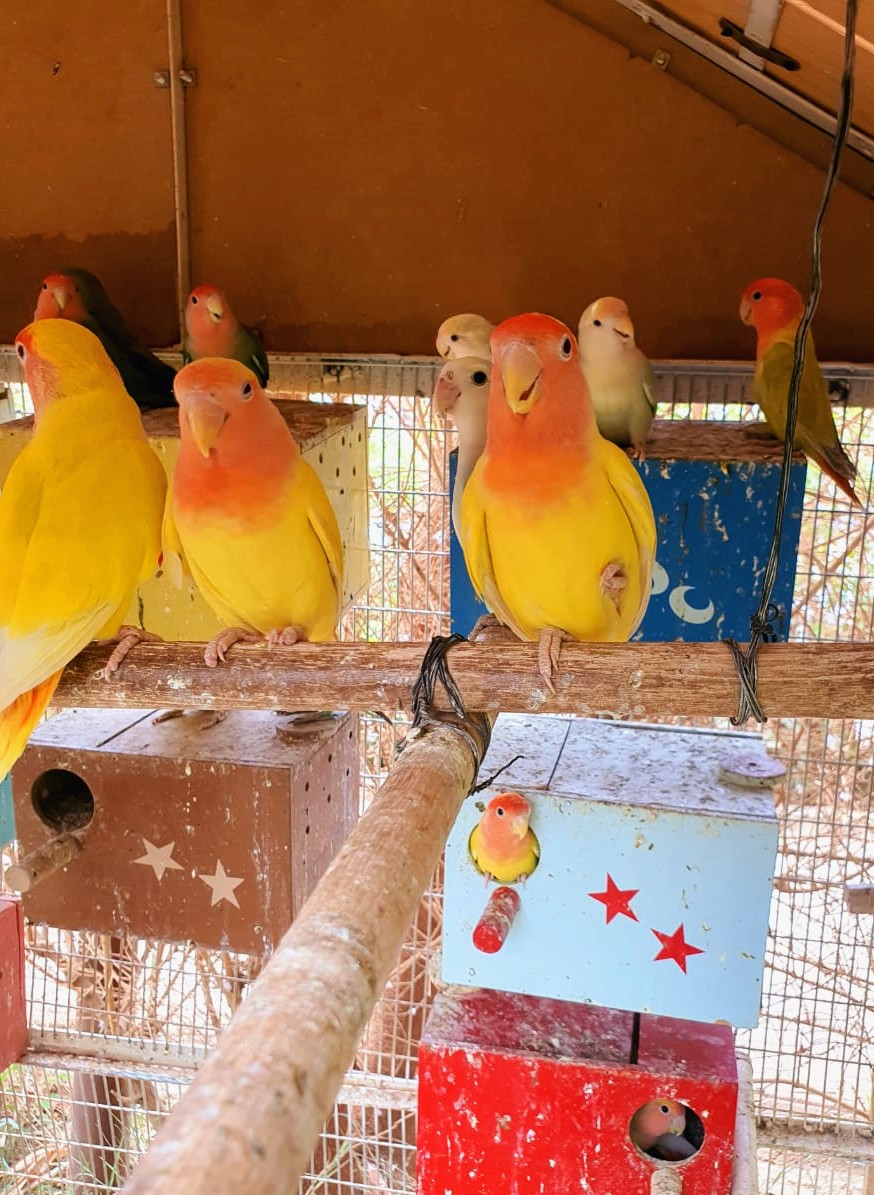 The Square Café and Restaurant - 9