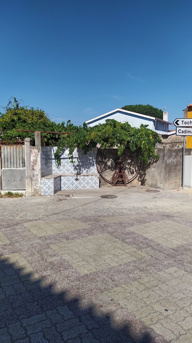 Tasca Gregorio - 3