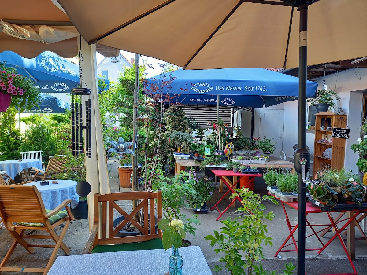 Alles rund ums Grüne-Cafe im Einkaufsgarten - 3