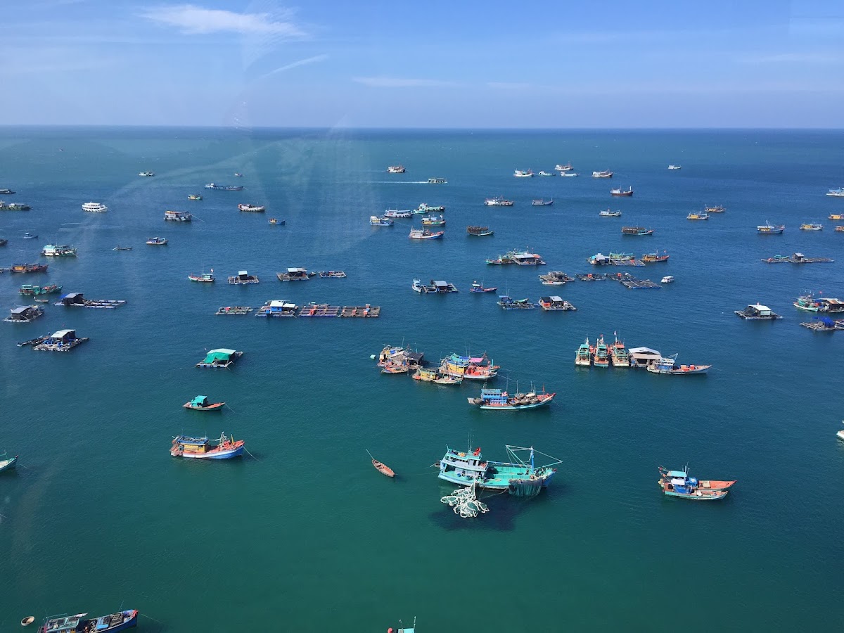 Café du 'Petit port'