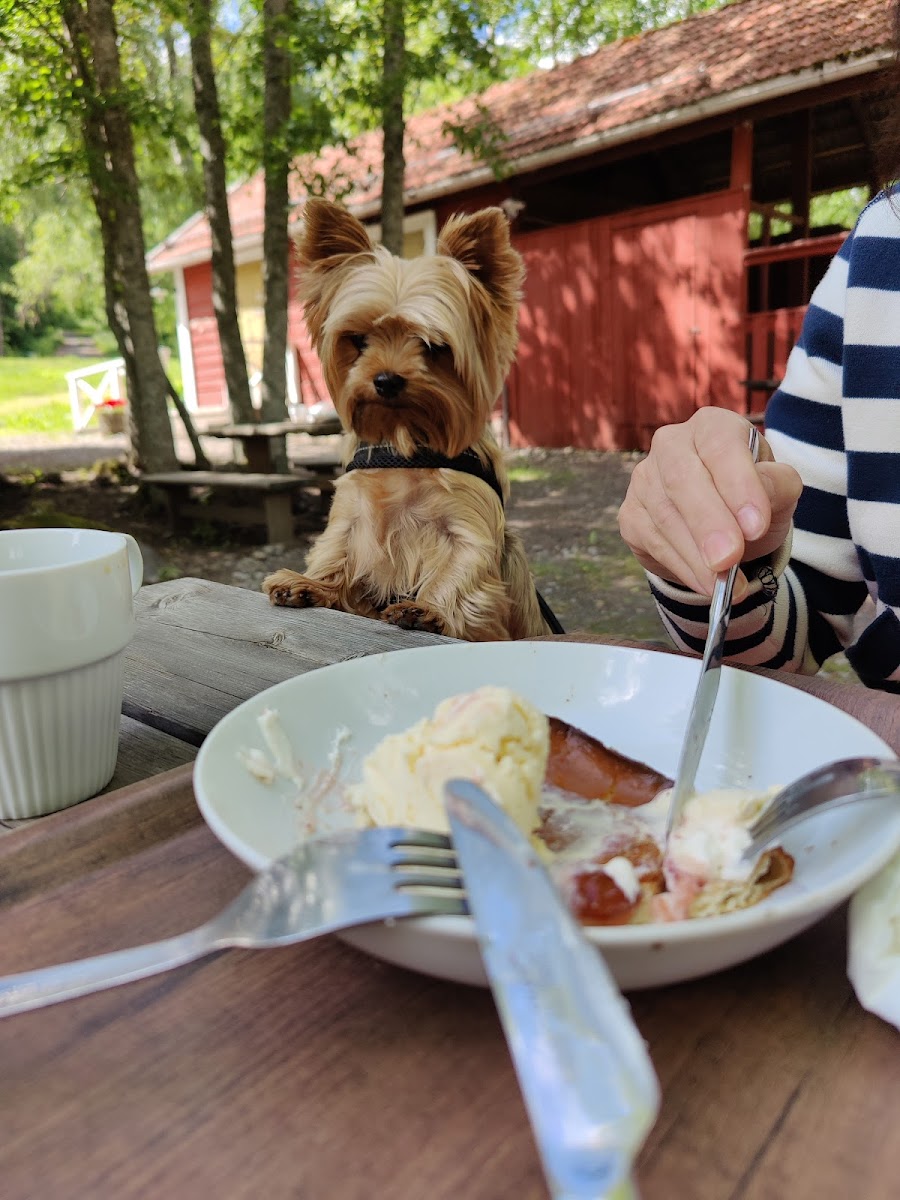 Kahvila Leivintupa - 10