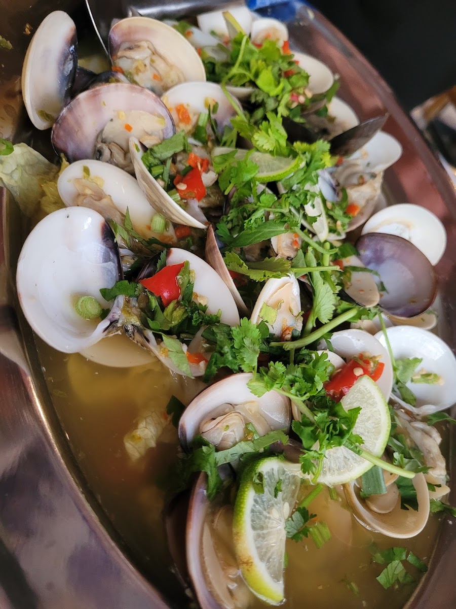 雨林轩 Rain Forest Cafe - 10