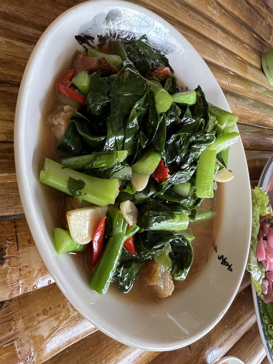 雨林轩 Rain Forest Cafe - 6