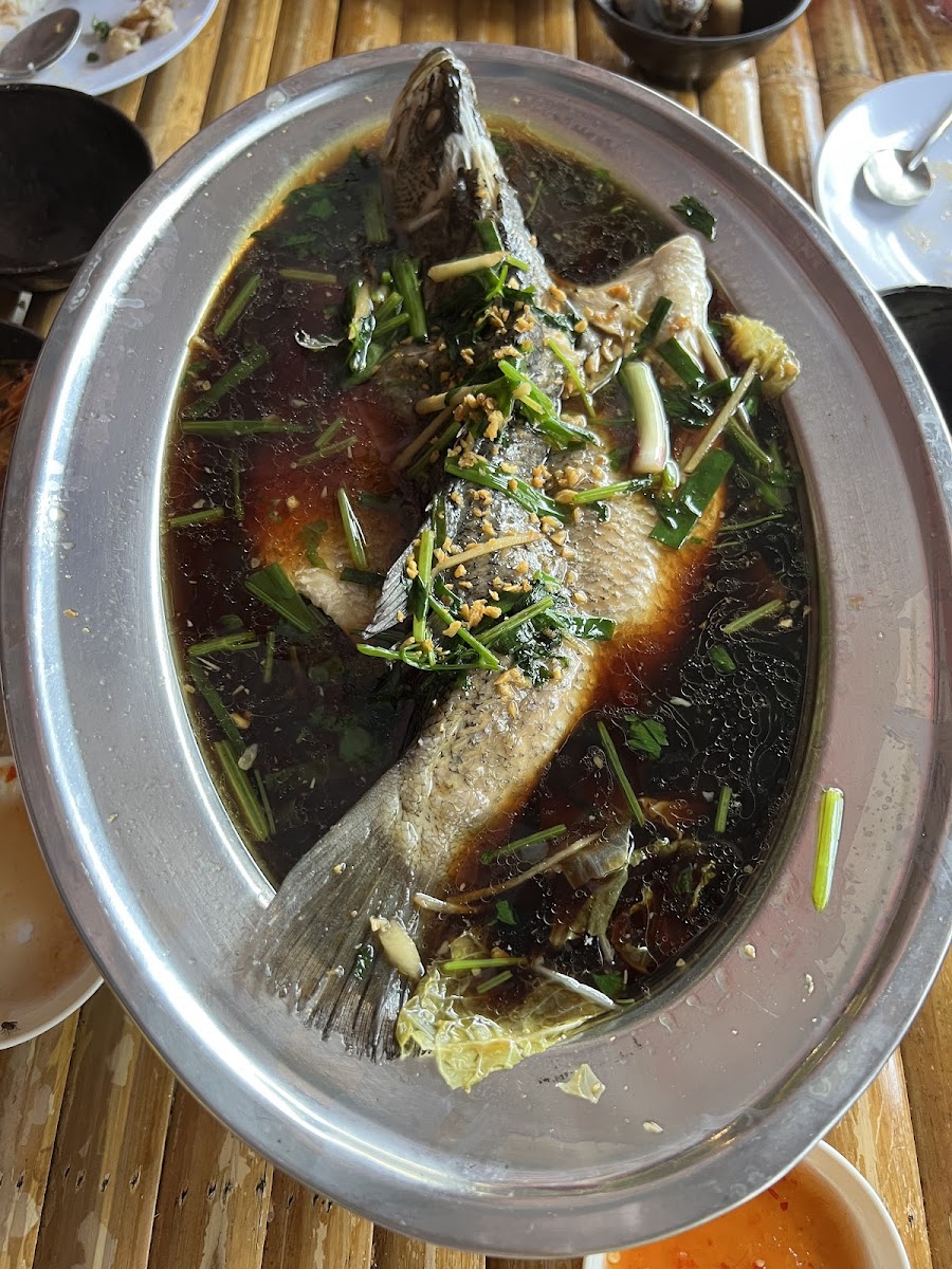 雨林轩 Rain Forest Cafe - 7