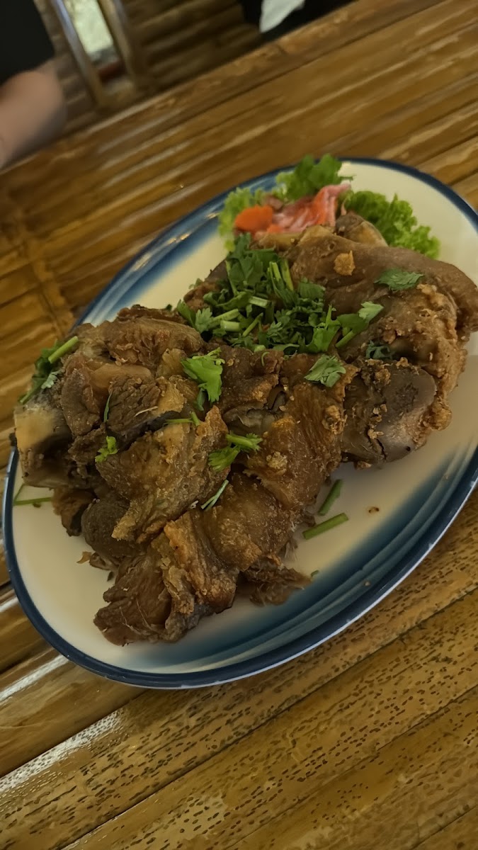 雨林轩 Rain Forest Cafe - 9